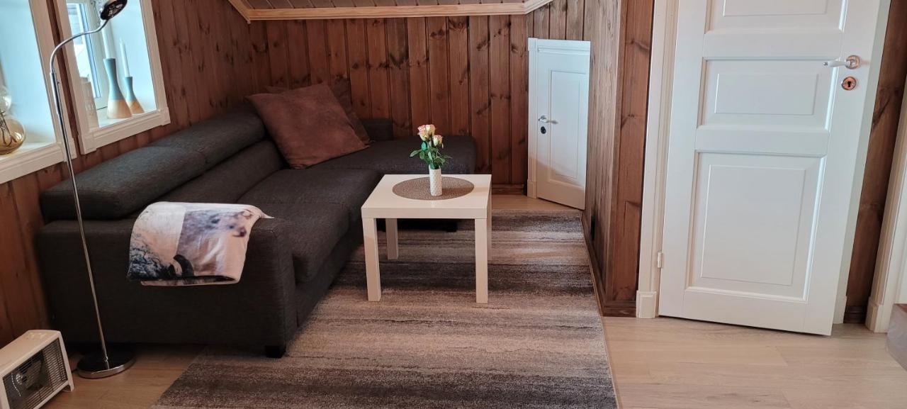 Wonderful Cabin With Amazing Mountain - View Lifjell Екстериор снимка