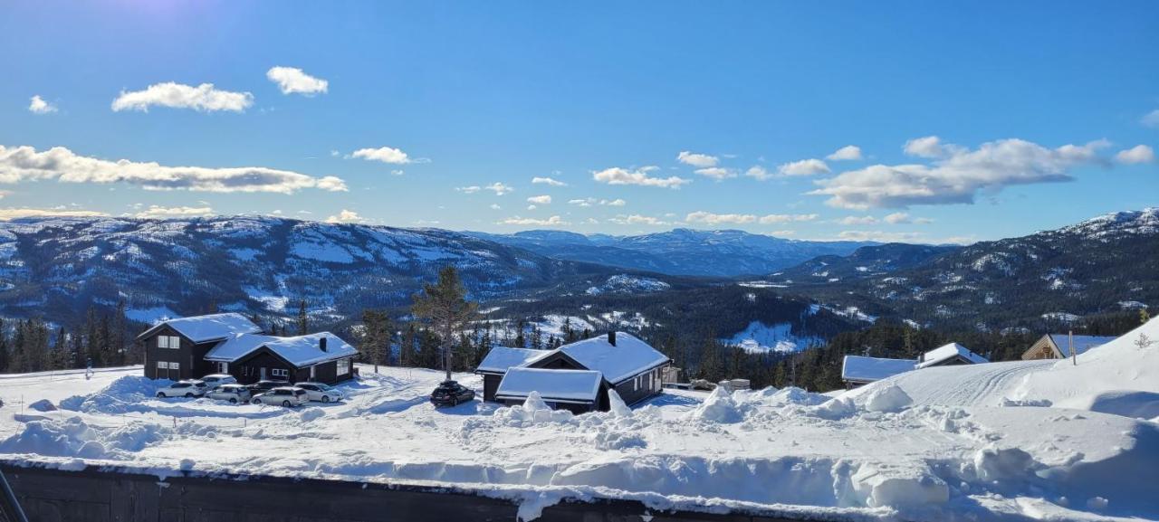 Wonderful Cabin With Amazing Mountain - View Lifjell Екстериор снимка