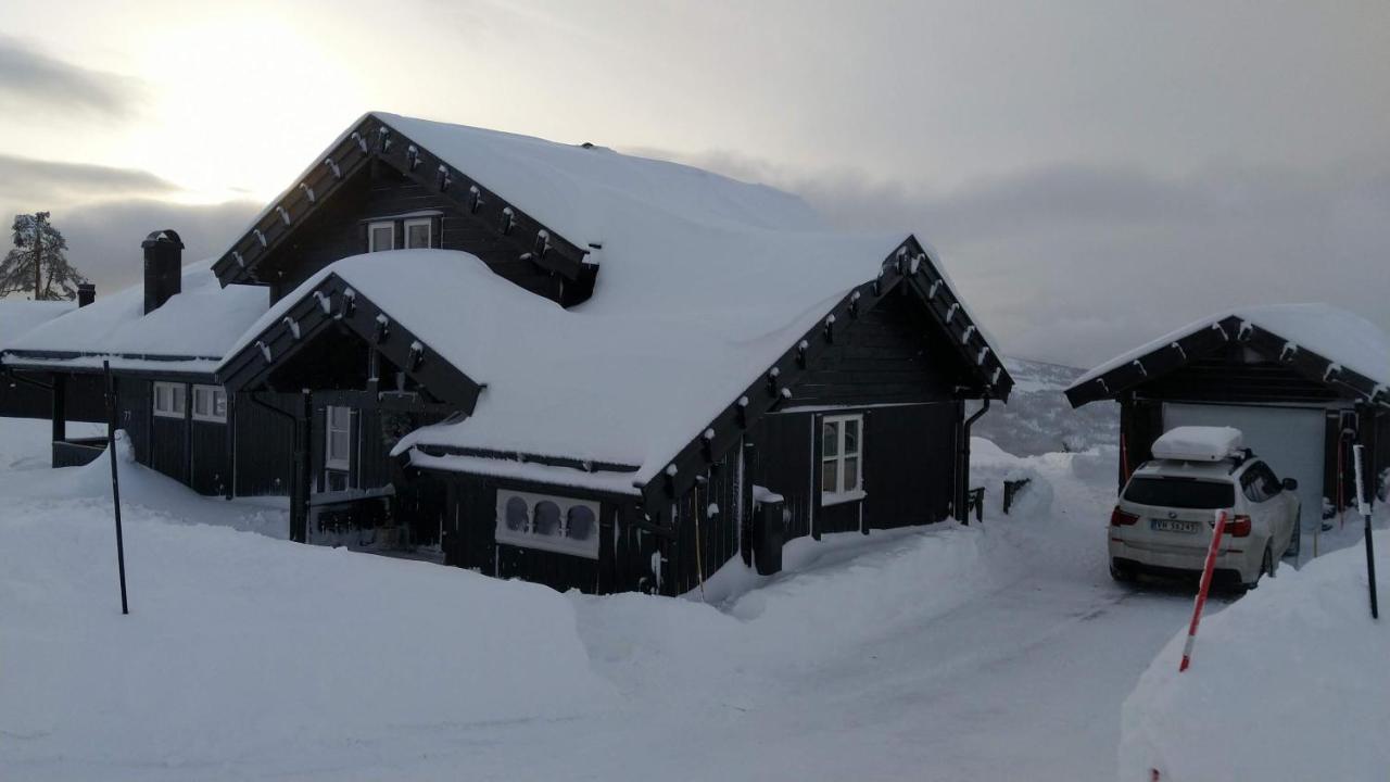 Wonderful Cabin With Amazing Mountain - View Lifjell Екстериор снимка